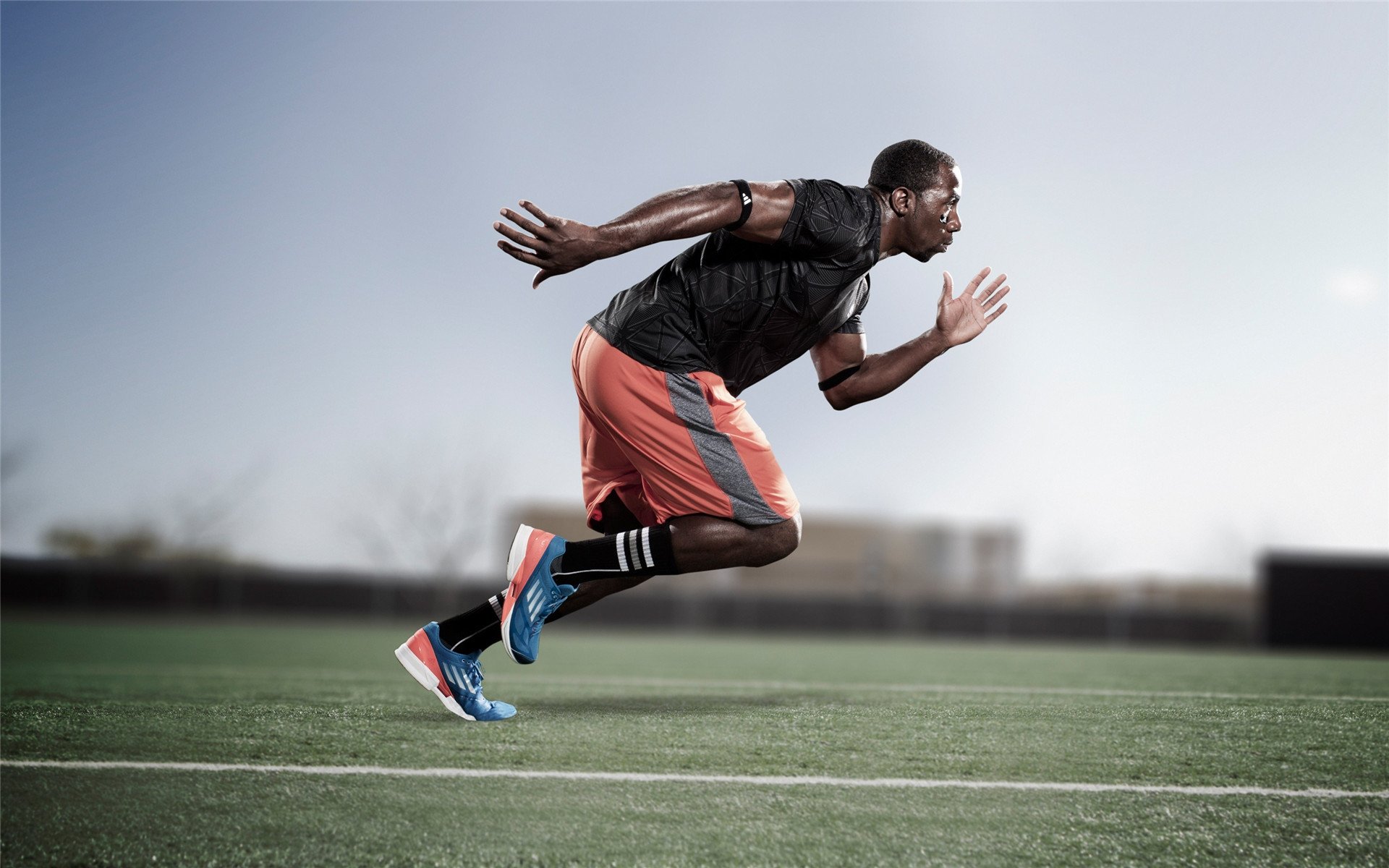 王座之争，国王鏖战雷霆夜，哲林擎天火铸王朝